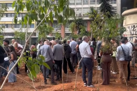Centro de São Paulo recebe quatro novos bosques urbanos