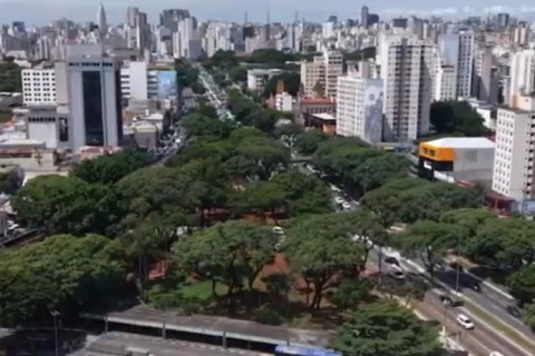 Décimo segundo bosque urbano é inaugurado com mais de 2000 árvores